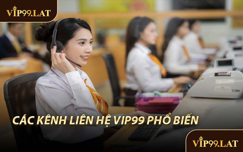 Các Kênh Liên Hệ VIP99 Phổ Biến