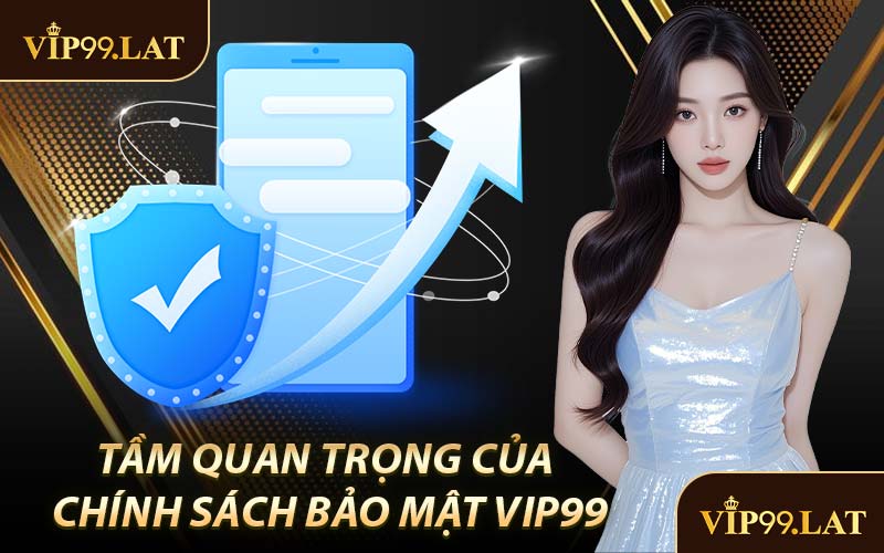 Tầm Quan Trọng Của Chính Sách Bảo Mật VIP99